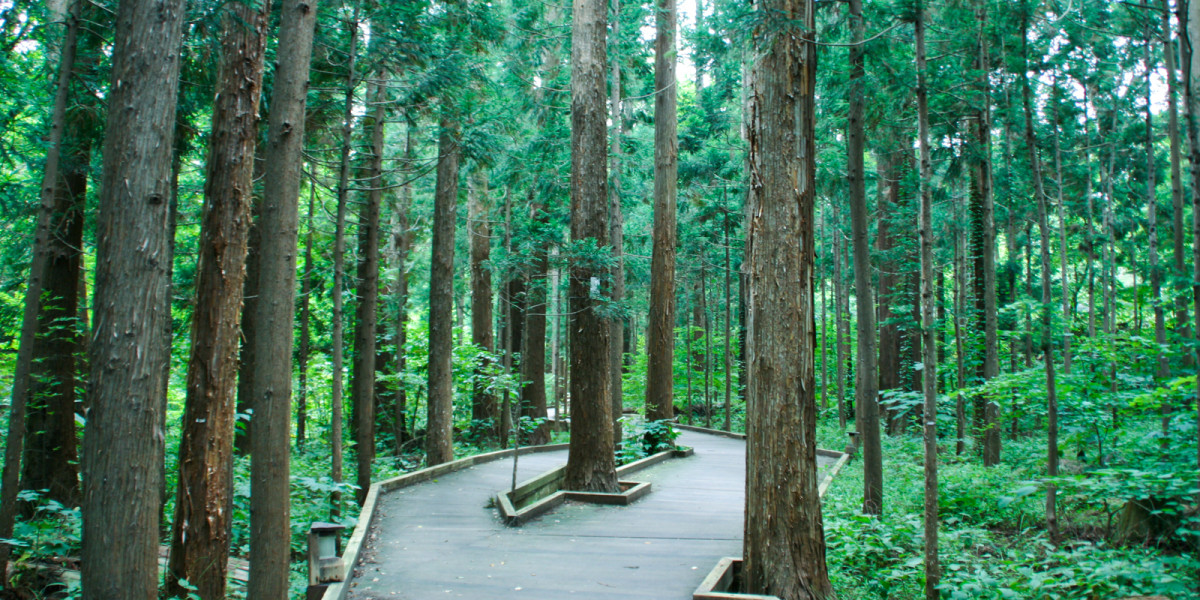 maruyama-park_main1-1200x600-1.jpg