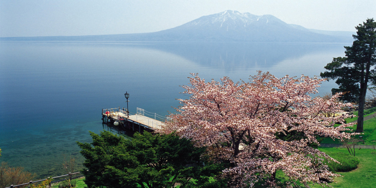 shikotsuko-cherry-blossom-1600x800-1200x600-1.jpg